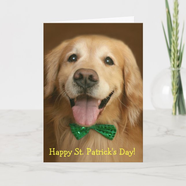 Golden Retriever St. Patrick's Day Kort (Framsida)