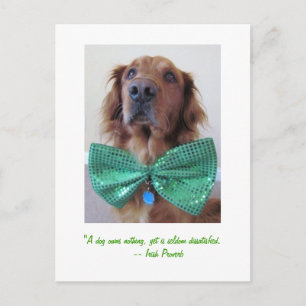 Golden Retriever St. Patrick's Day Postcard Vykort