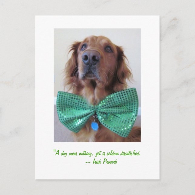 Golden Retriever St. Patrick's Day Postcard Vykort (Framsida)