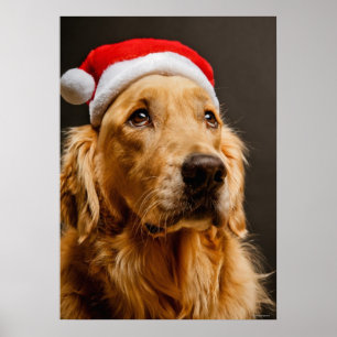 Golden Retriever ställer upp för sin jul Poster