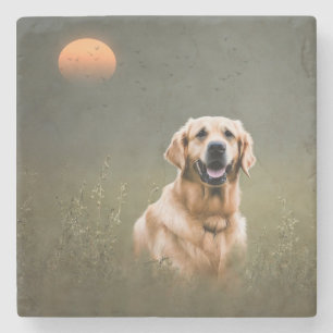 Golden Retriever Stenunderlägg
