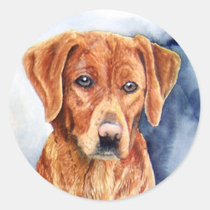 Golden Retriever Stickers Runt Klistermärke