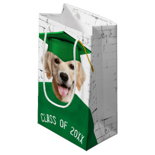Golden Retriever Student med Grönt Cap