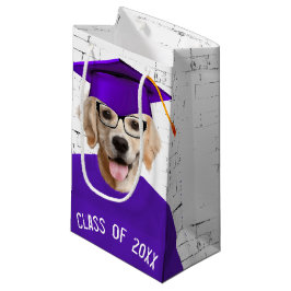 Golden Retriever Student med Lila T-shirt