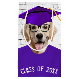 Golden Retriever Student med Lila T-shirt