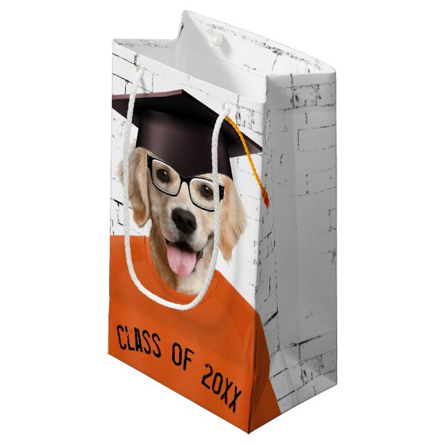 Golden Retriever Student med Orange T-shirt (Framsidan Vinklad)