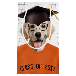 Golden Retriever Student med Orange T-shirt
