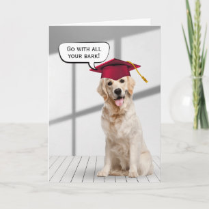 Golden Retriever Student med rött tak Kort