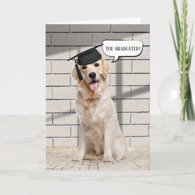 Golden Retriever Student på Brick Kort (Framsida)