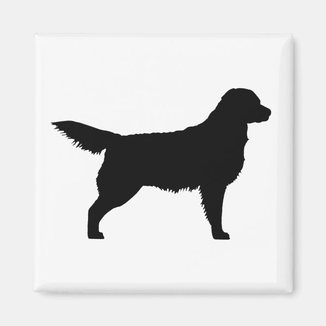 Golden Retriever (svart) Magnet (Framsidan)