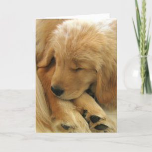 Golden Retriever Sweet Puppy Mors dag Card Kort