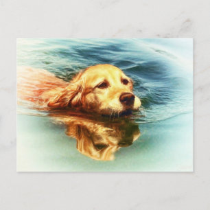 Golden Retriever Swimming - Hund Art Postcard Vykort
