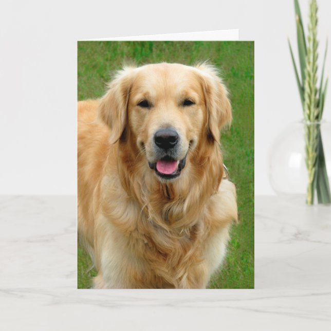 Golden Retriever Sympathy Kort (Framsida)