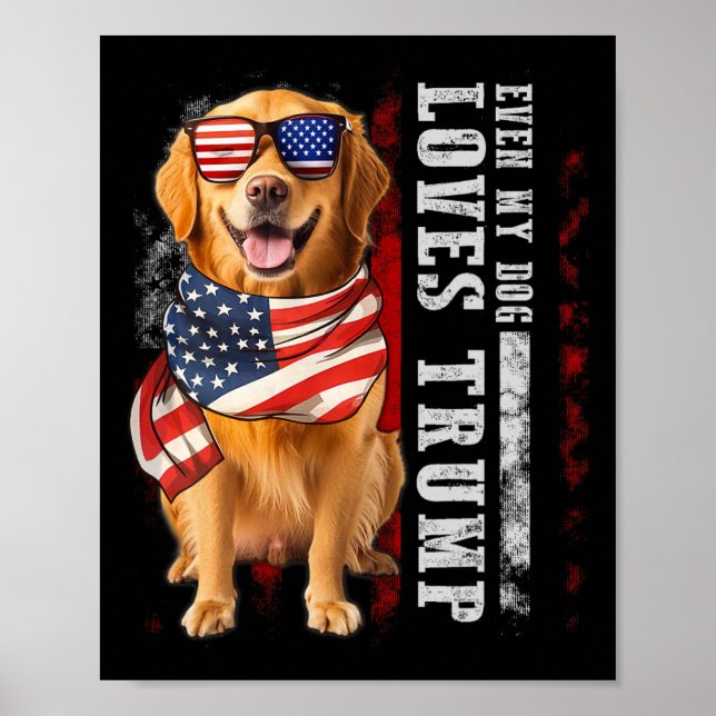 Golden Retriever t.o.m. My Kärlek Trump Funny Poster (Framsidan)