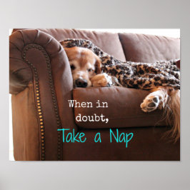 Golden Retriever Ta en kapp Poster