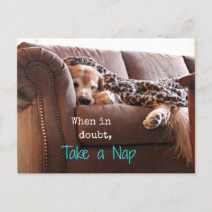 Golden Retriever Ta en kapp Vykort