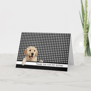 Golden Retriever Tack för Pet Sitta Kort