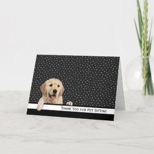 Golden Retriever Tack för Pet Sitta Kort