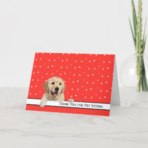Golden Retriever Tack för Pet Sitta Kort