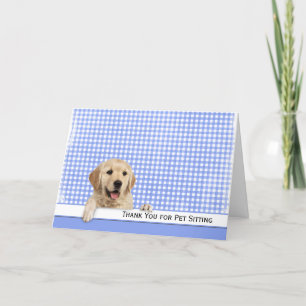 Golden Retriever Tack för Pet Sitta Kort