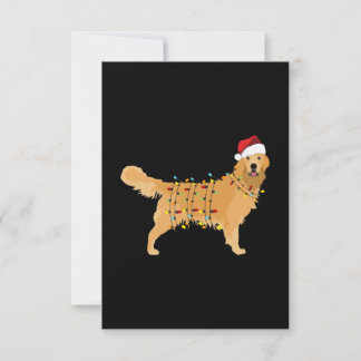 Golden Retriever Tack Kort