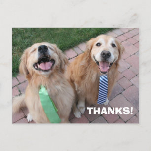 Golden Retriever Tack Vykort