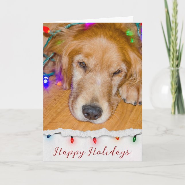 Golden Retriever tanased i Ljus Kort (Framsida)