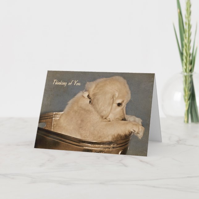 Golden Retriever tänker på dig Kort (Framsida)