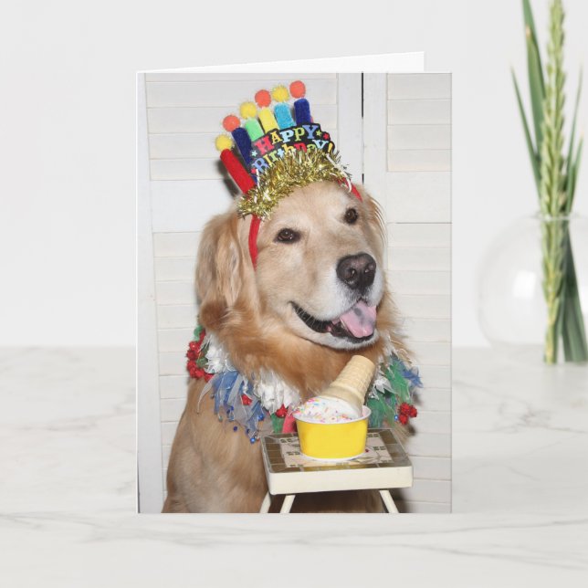 Golden Retriever Tass-some Birthday Kort (Framsida)