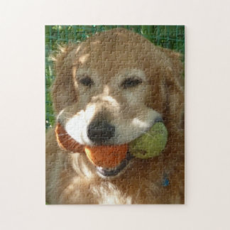 Golden Retriever & Tennisbollar Pussel
