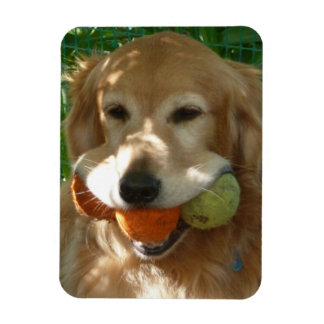 Golden Retriever & Tennisbollar Pussel Magnet