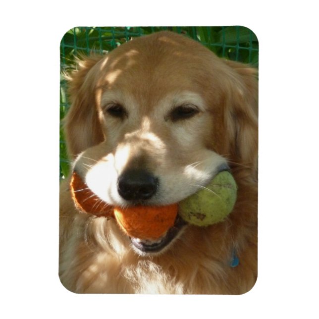 Golden Retriever & Tennisbollar Pussel Magnet (Vertikal)