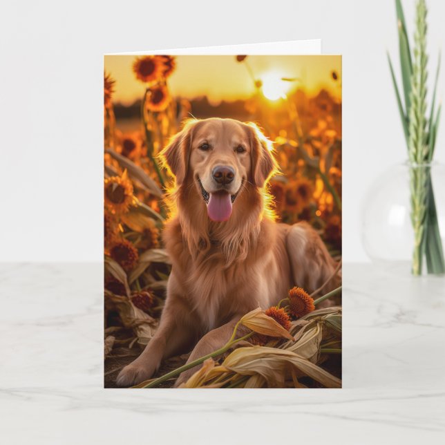 Golden Retriever Thanksgiving Höst Fält Helgkort (Framsida)