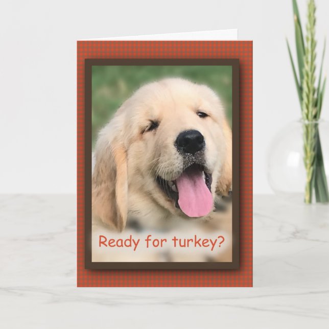 Golden Retriever Thanksgiving Turkey Greeting Card Helgkort (Framsida)