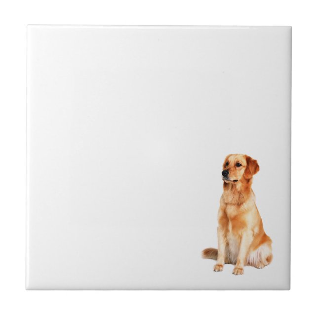 Golden Retriever Tile Kakelplatta (Framsidan)
