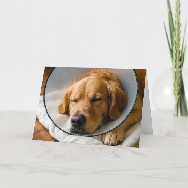 Golden Retriever Tillfriskar Snart Kort (Framsida)