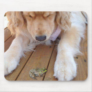 Golden Retriever Tittar i en groda Musmatta