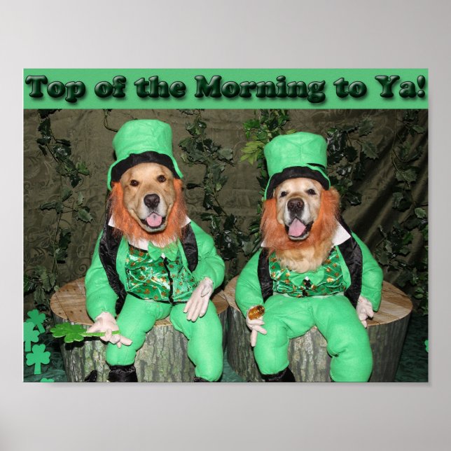 Golden Retriever Top of the Morgon Leprechaunss Poster (Framsidan)