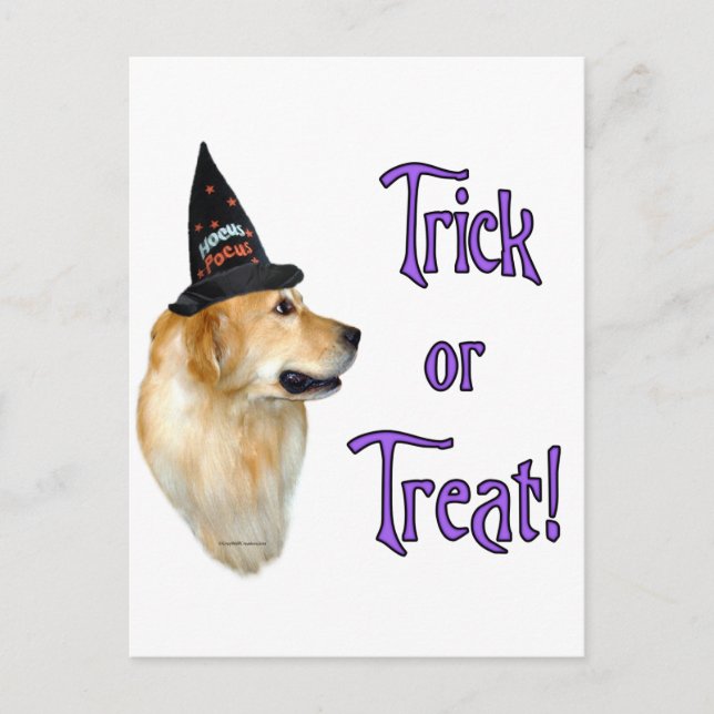 Golden Retriever Trick Vykort (Framsida)