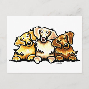 Golden Retriever Trio Vykort