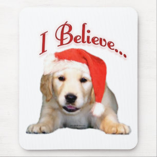 Golden Retriever, tror jag Musmatta