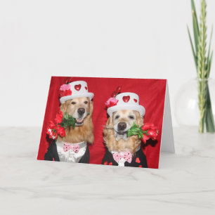 Golden Retriever Tuxedo Kostym Valentine Kort