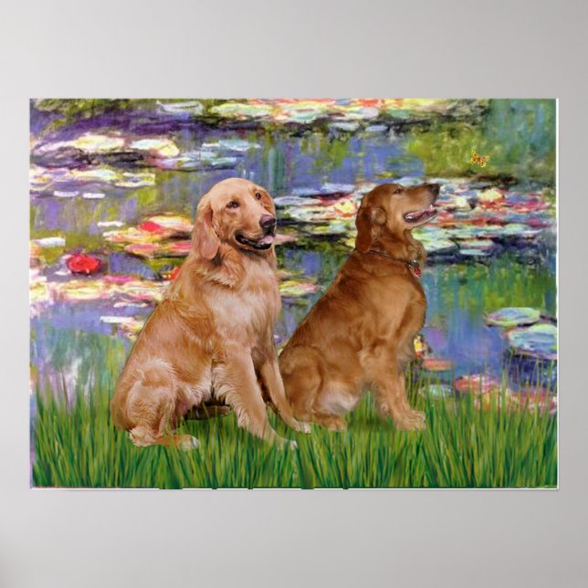 Golden Retriever (två) - Liljor 2 Poster (Framsidan)