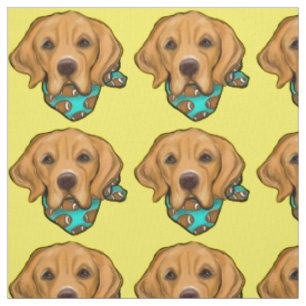 GOLDEN RETRIEVER TYG