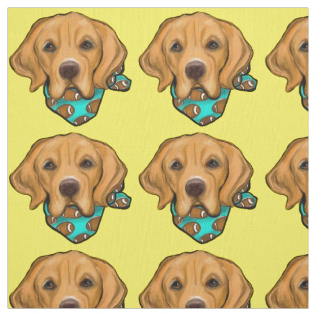 GOLDEN RETRIEVER TYG (Provkarta)