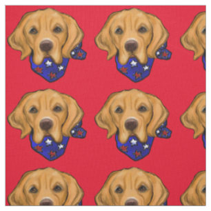 GOLDEN RETRIEVER TYG