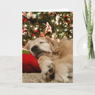 Golden Retriever under Julgran Helgkort