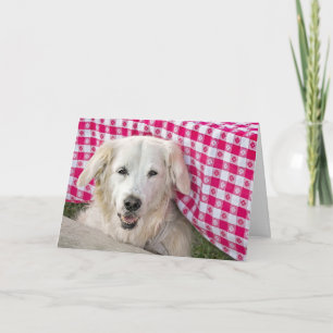 Golden Retriever under matsalen på födelsedag Kort
