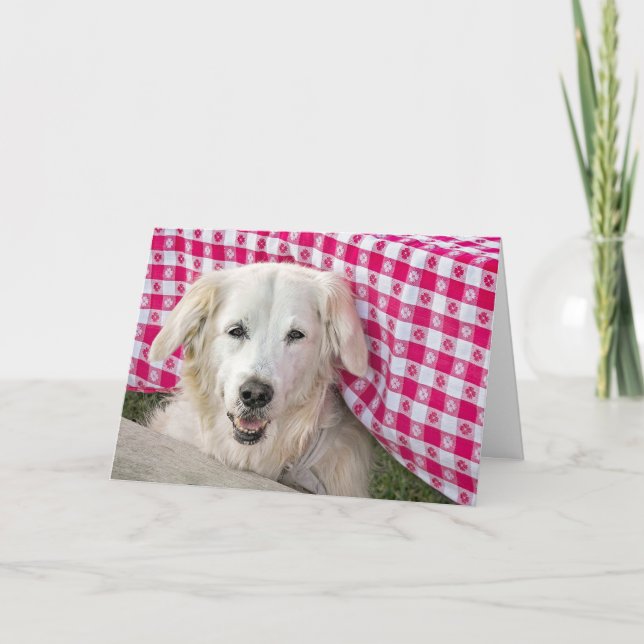 Golden Retriever under matsalen på födelsedag Kort (Framsida)