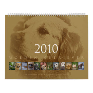 Golden Retriever - Väggkalender 2010 Kalender